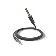 D’Addario PW-AMSK-20 American Stage Instrument Cable with Kill Switch, Muting Plug, 20 ft.