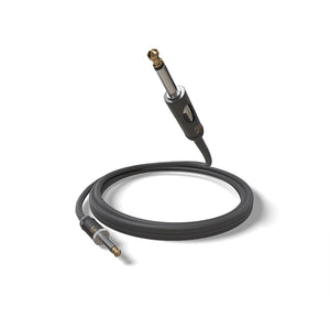 D’Addario PW-AMSK-20 American Stage Instrument Cable with Kill Switch, Muting Plug, 20 ft.