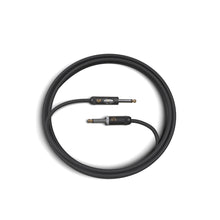 D’Addario PW-AMSK-20 American Stage Instrument Cable with Kill Switch, Muting Plug, 20 ft.