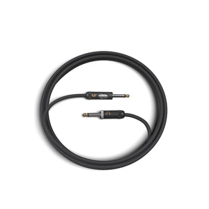 D’Addario PW-AMSK-20 American Stage Instrument Cable with Kill Switch, Muting Plug, 20 ft.