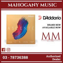 D’Addario A310 3/4M Ascente Violin String Set, 3/4 Scale, Medium Tension