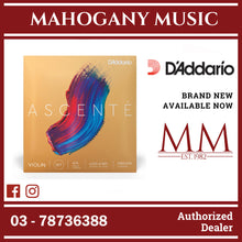 D’Addario A310 4/4M Ascente Violin String Set, 4/4 Scale, Medium Tension