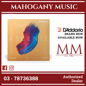D'Addario A311 1/2M Ascente Violin Single E String, 1/2 Scale, Medium Tension