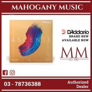 D'Addario A313 1/2M Ascente Violin Single D String, 1/2 Scale, Medium Tension