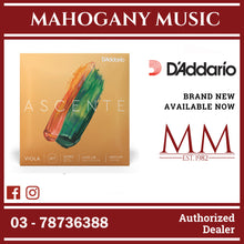 D’Addario A410 LM Ascente Viola String Set, Long Scale, Medium Tension