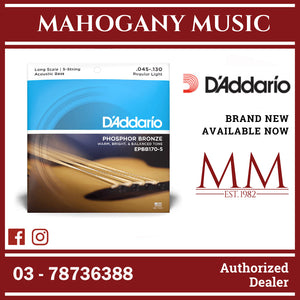 D’Addario EPBB170 Phosphor Bronze Acoustic Bass Strings, Regular Light, Long Scale, 45-130 Gauge