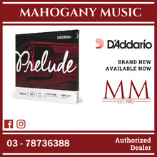 D’Addario J1010 1/4M Prelude Cello String Set, Medium Tension