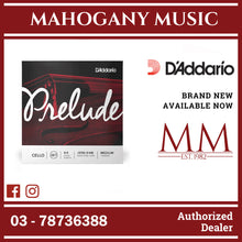 D’Addario J1010 4/4M Prelude Cello String Set, 4/4 Scale, Medium Tension