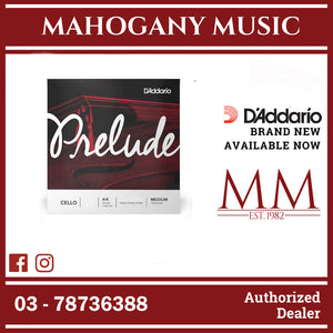 D'Addario J1012 4/4M Prelude Cello Single D String, 4/4 Scale, Medium Tension