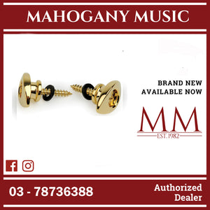 D'Addario PWEEP302 Elliptical End Pins, Gold