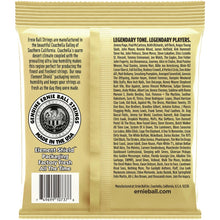 Ernie Ball P02013 Earthwood 80/20 Bronze 12-String Acoustic Guitar Strings, Custom Light, 10-48 Gauge