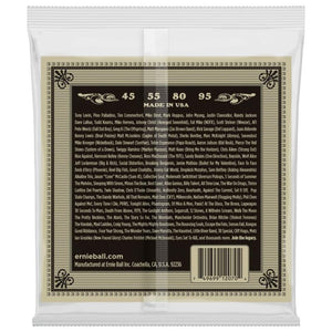 Ernie Ball P02070 Earthwood Phosphor Bronze Acoustic Bass Strings, 45-95 Gauge