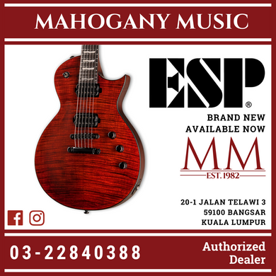ESP LTD EC-1001 FM Fluence Electric Guitar - Tiger Eye