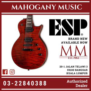 ESP LTD EC-1001 FM Fluence Electric Guitar - Tiger Eye