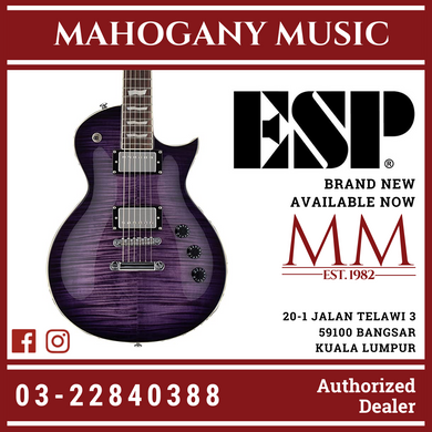 ESP LTD EC-256FM - See Thru Purple Burst Electric Guitar
