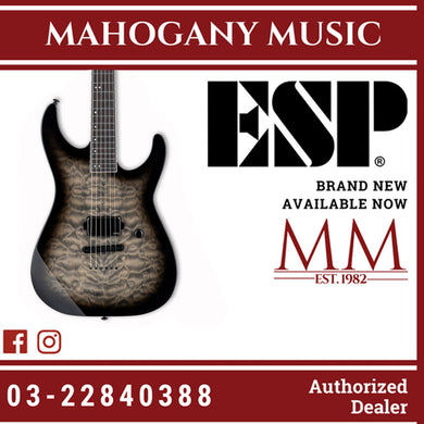 ESP LTD M-1001 NT Electric Guitar - Charcoal Burst