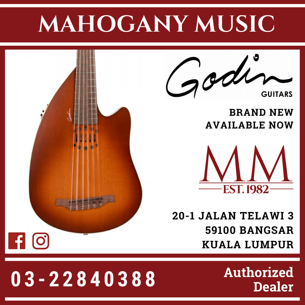 Godin steel string deals