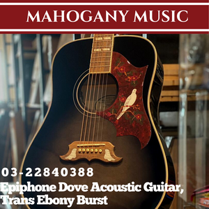 Epiphone Dove Acoustic Guitar, Trans Ebony Burst