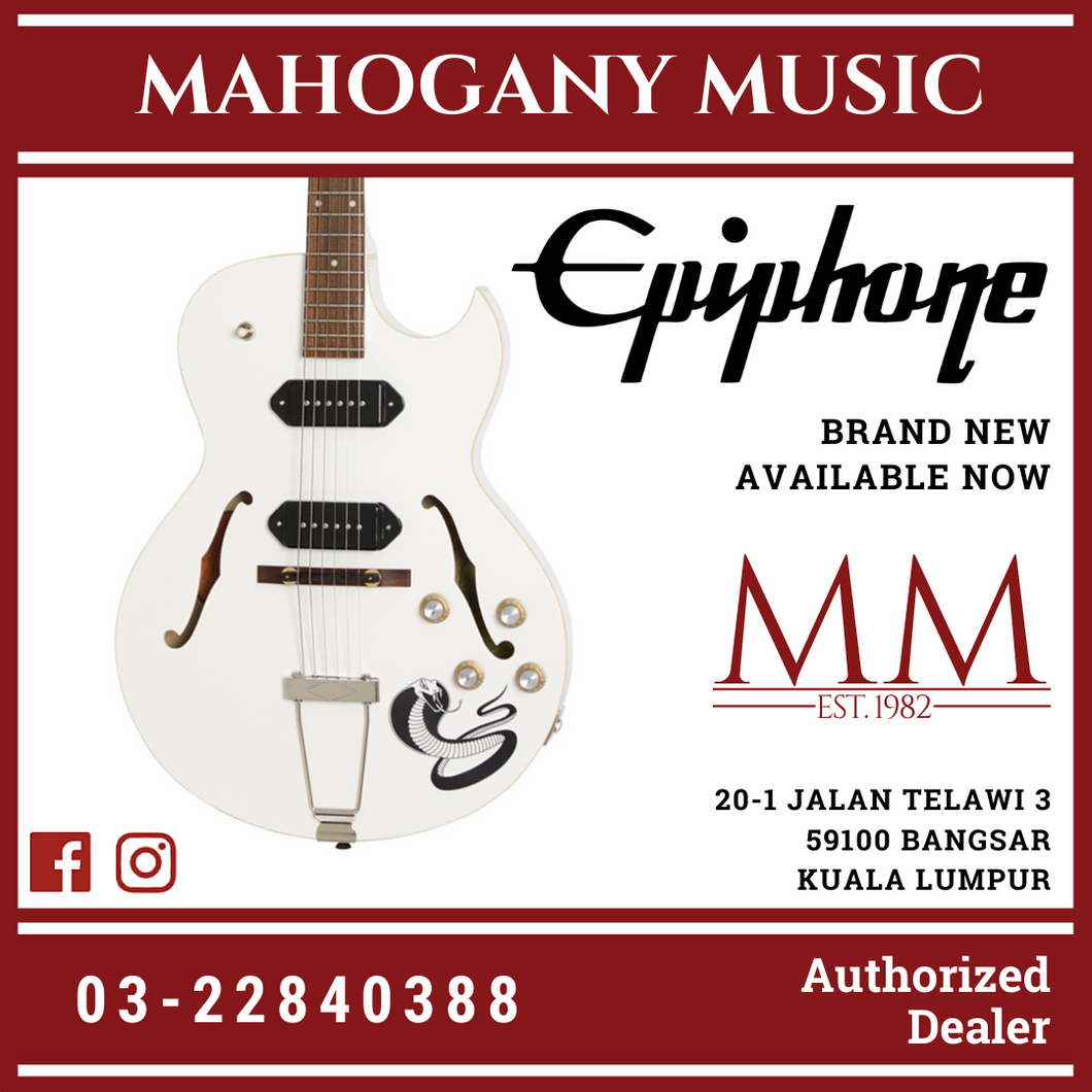 George thorogood epiphone deals