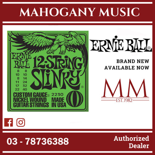 Ernie Ball P02230 Slinky Nickel Wound 12-String Electric Guitar Strings, 8-40 Gauge