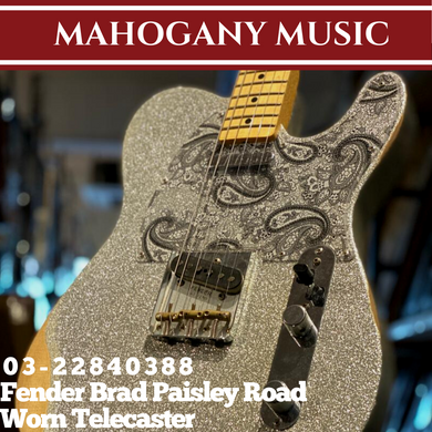 Fender Brad Paisley Road Worn Telecaster Electric Guitar, Maple FB, Silver Sparkle