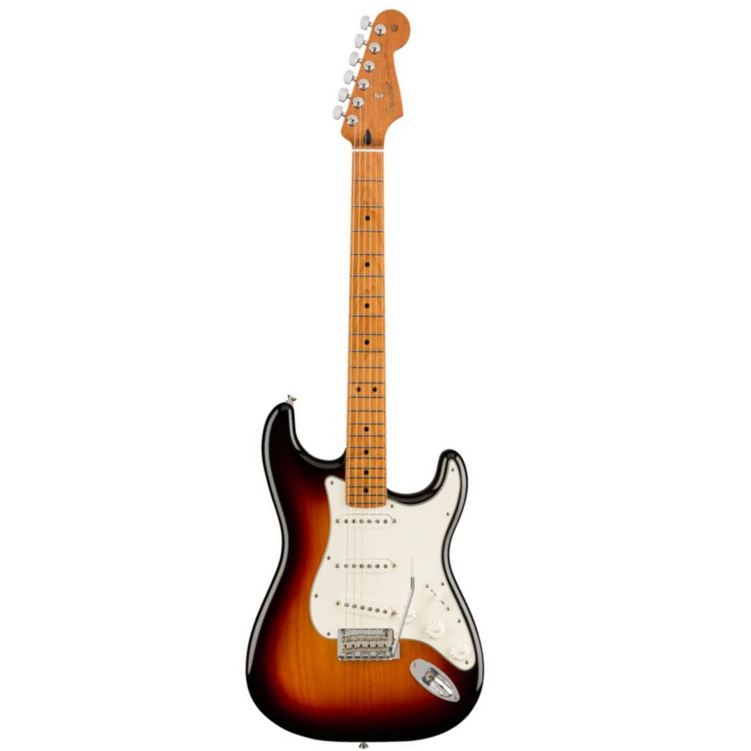 Maple shop fender stratocaster
