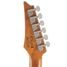 Ibanez GRG220PA1-BKB RG GIO Series Electric Guitar, Transparent Brown Black Burst
