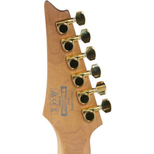 Ibanez RG421HPFM-BRG RG Standard Series Electric Guitar, Blue Reef Gradation