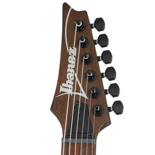 Ibanez RGRT421-WNF RG Standard Series Electric Guitar, Walnut Flat