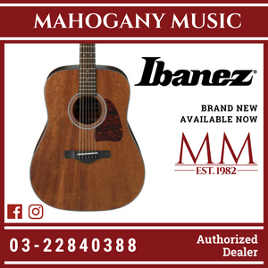 Ibanez AW54 - Open Pore Natural Acoustic Guitar