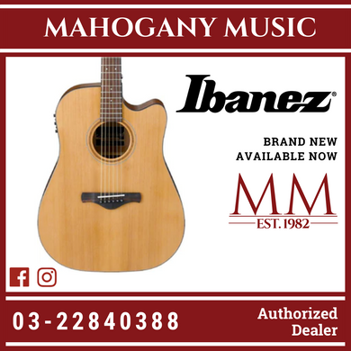 Ibanez AW65ECE Acoustic Guitar - Natural Low Gloss