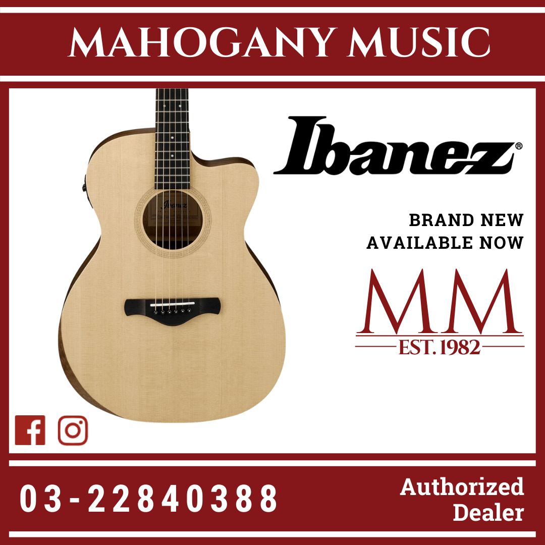 Ibanez top art wood