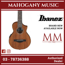 Ibanez EWP12EWB-OPN Acoustic Guitar w/Bag, Open Pore Natural