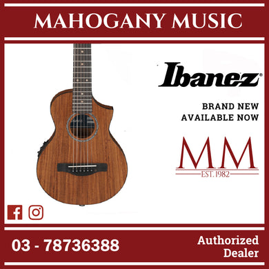 Ibanez EWP12EWB-OPN Acoustic Guitar w/Bag, Open Pore Natural