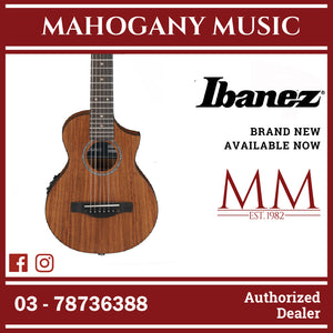 Ibanez EWP12EWB-OPN Acoustic Guitar w/Bag, Open Pore Natural