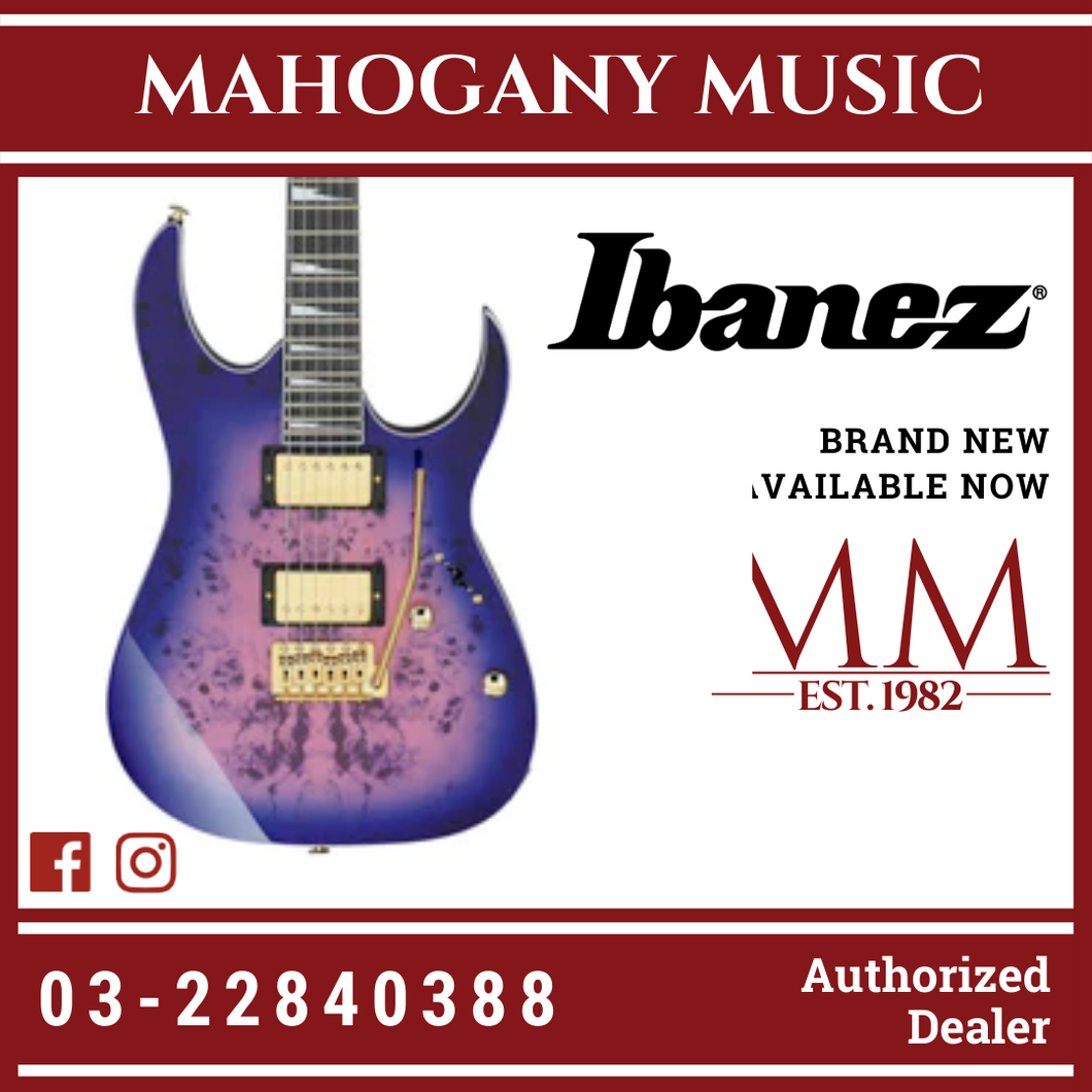 Ibanez GIO GRG220PA Electric Guitar - Royal Purple Burst