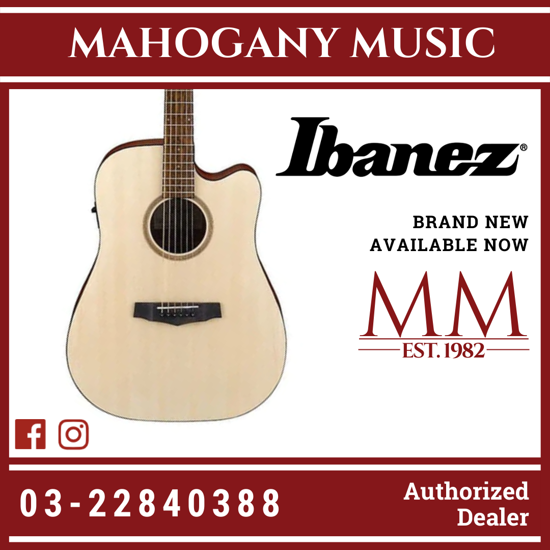 Ibanez pf10ce outlet