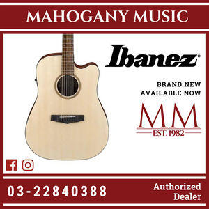 Ibanez PF10CE - Open Pore Natural Acoustic Guitar