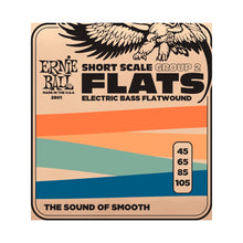 Ernie Ball P02801 Flatwound Group 2 Short Scale Electric Bass Strings, 45-105 Gauge