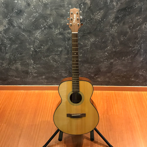 Takamine D-10N Acoustic Guitar