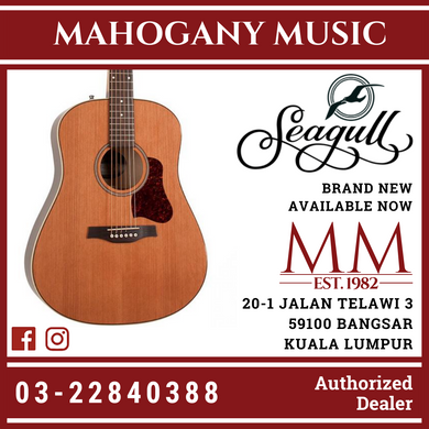 Seagull Coastline Momentum High Gloss A/E Acoustic Guitar 42494