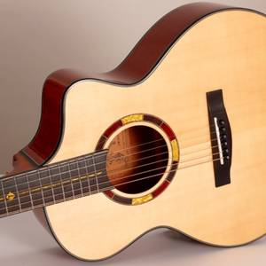 Tiger-Rogen Solid Sitka Spruce Top Traveler Size Acoustic Guitar Equipped With TG-S2 Turbo Panel- Mountain Road-Mini (36)