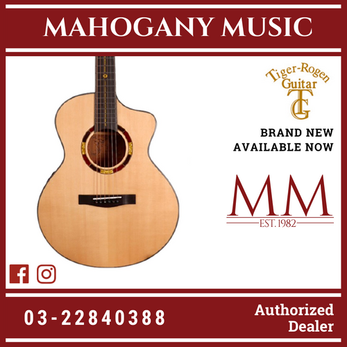 Tiger-Rogen Solid Sitka Spruce Top Traveler Size Acoustic Guitar Mountain Road-Mini (36_)