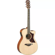 Yamaha AC3M ARE Concert Cutaway Acoustic-Electric Guitar with Hard Bag