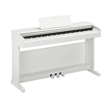 Yamaha Arius YDP-145 88-Keys Digital Piano with Headphone, Bench and Dust Cover - White