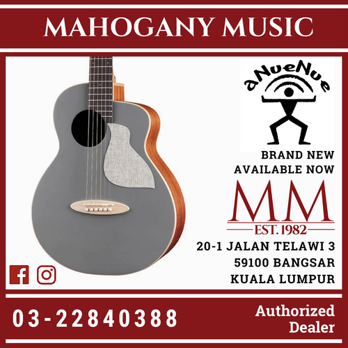 aNueNue Solid Top Bird MC10 QSE Quiet Shade Acoustic Guitar Grey