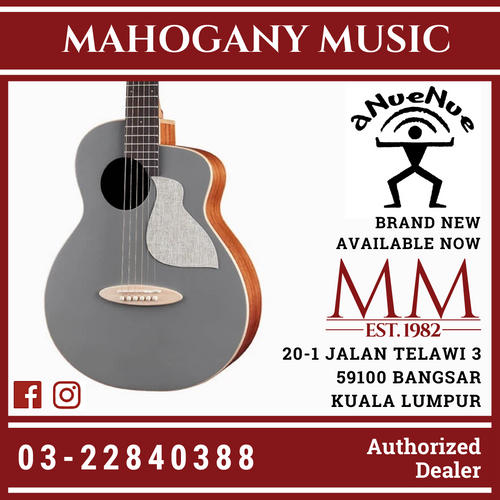 aNueNue Solid Top Bird MC10 QS Quiet Shade Guitar Grey