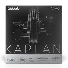 D’Addario KV310 4/4M Kaplan Vivo Violin String Set, 4/4 Scale, Medium Tension