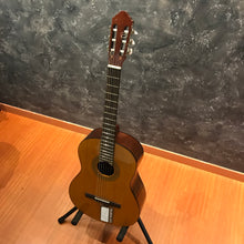 Jasmine C22 Nylon Classical Guitar