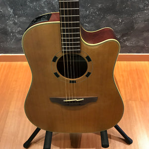 Takamine EN10C Acoustic Guitar